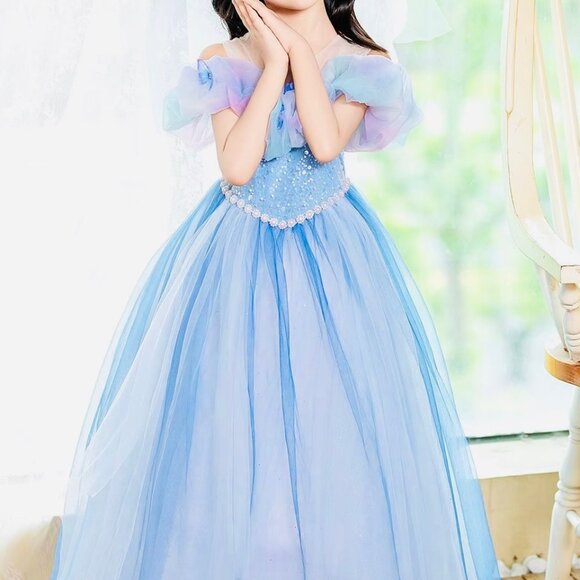 lue Princess Dress with Accessories – Cinderella Inspired✨ - Picture 2 of 5